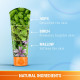 Lotus Herbals Tinted Sunscreen SPF 40 Cream - Non-greasy & Lightweight