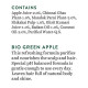 Biotique Green Apple Shine & Gloss Shampoo & Conditioner - Promotes Healthy, Shiny Hair