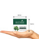 Biotique Bio Winter Green Spot Correcting Anti Acne Cream - Effective Acne Control