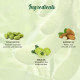 Biotique Bio Soya Protein Fresh Nourishing Shampoo - Repairs Dry and Damaged Hair