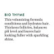 Biotique Bio Thyme Volume Conditioner - Adds Volume & Bounce