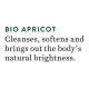 Biotique Bio Apricot Refreshing Body Wash - Keeps Skin Fresh and Clean