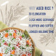 India Gate Basmati Rice Bag, Super, 5kg - Premium Quality