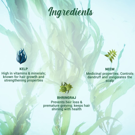 Biotique Ocean Kelp Anti Hairfall Shampoo - Intensive Hair Growth Therapy