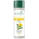 Biotique Dandelion Youth Anti-Ageing Serum - 100% Botanical Extracts