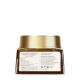 Forest Essentials Advanced Eternal Youth Formula Night Cream - Ayurvedic Anti Ageing Moisturiser