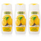 Vaadi Herbals Dandruff Defense Lemon Shampoo - Tea Tree Extract