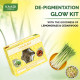 Vaadi Herbals Lemongrass Anti Pigmentation Spa Facial Kit - Revitalize Your Skin