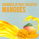 Real Mango Fruit Juice - 1L | Rich in Vitamin C & Natural Goodness