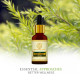 KHADI NATURAL Teatree Pure Essential Oil - 15ml - Clear Skin Solution
