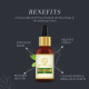 KHADI NATURAL Basil Oil, 15ml - Natural Stress Relief & Clarity