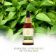 KHADI NATURAL Basil Oil, 15ml - Natural Stress Relief & Clarity