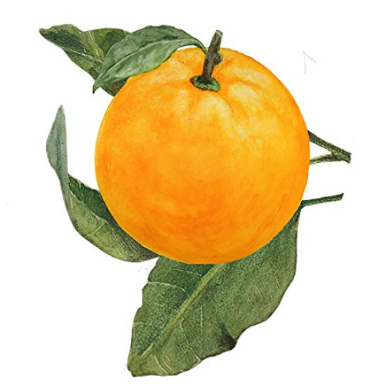 Biotique Bio Orange Peel Revitalizing Body Soap - 100% Botanical Extracts