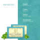 KHADI NATURAL Pure Mint Soap - Handmade Herbal Soap for Skin Rejuvenation