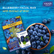 Vaadi Herbals Blueberry Facial Bars - Antioxidant & Nourishing