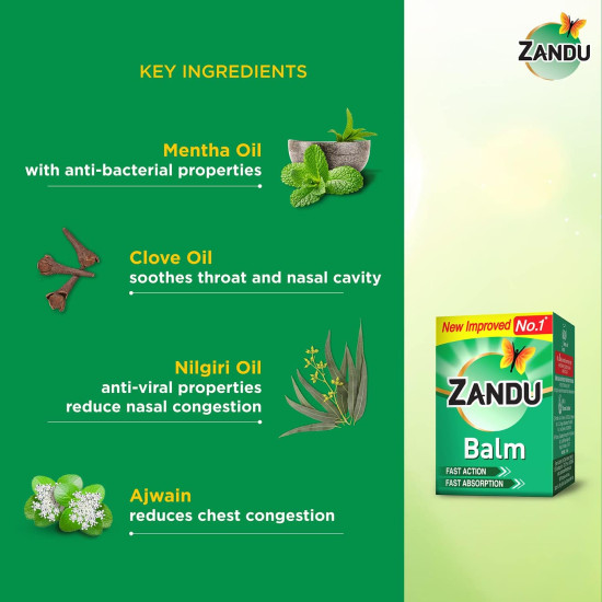 Zandu Balm 25ml - Ayurvedic Pain Relief Solution