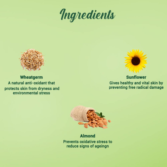 Biotique Wheat Germ Anti-Ageing Night Cream - Reduces Fine Lines