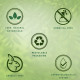 Biotique Wheat Germ Anti-Ageing Night Cream - Reduces Fine Lines