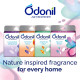 Odonil Bathroom Air Freshener Blocks - Mixed Fragrances for Long-Lasting Freshness