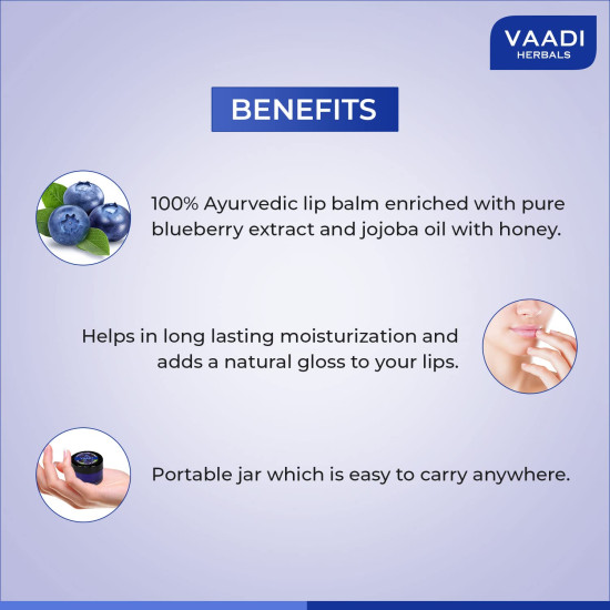 Vaadi Herbals Lip Balm, Blueberry - Antioxidant & Moisturizing