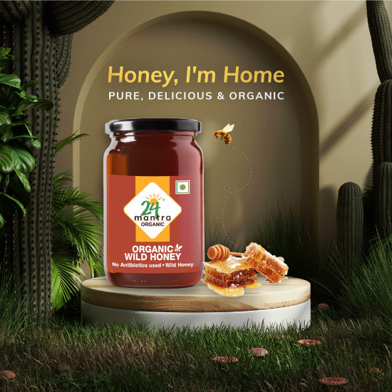 24 Mantra Organic Wild Honey - 250gms | Chemical Free & Sugar Free