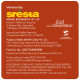 24 Mantra Organic Tulsi Tea Powder - 100% Organic & Antioxidant Rich