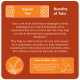 24 Mantra Organic Tulsi Tea Powder - 100% Organic & Antioxidant Rich