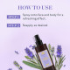 Kama Ayurveda Pure Lavender Water Face and Body Mist - Soothing and Refreshing