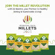 24 Mantra Organic Parboiled Kodo Millet - Ancient Grains 500g