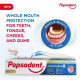 Pepsodent Germicheck Toothpaste 300g - 8 Actions, Whole Mouth Protection