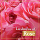 Lux Soft Glow Rose & Vitamin E Soap - For Glowing Skin