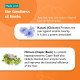 Himalaya Liv.52 DS Tablets 60 - Natural Liver Support
