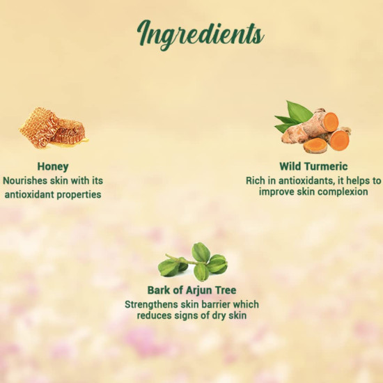 Biotique Honey Gel Face Wash - Soap-Free & Nourishing Cleanser Biotique Honey Gel Face Wash - Soap-Free & Nourishing Cleanser