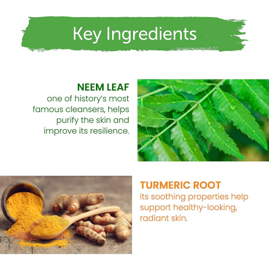 Himalaya Herbals Purifying Neem Face Wash - Acne Prevention