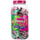 Dabur Hajmola Candy Jar - Aam and Imli Flavors - Digestive Delight