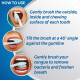 Colgate 360 Degree Flosstip Toothbrush - Advanced Gumline Reach Colgate 360 Degree Flosstip Toothbrush - Advanced Gumline Reach