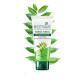 Biotique Fresh Neem Pimple Control Face Wash - 100% Botanical Extracts