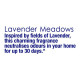 Odonil Air Freshener Tablet - 50g (Lavender Meadows) - Long-lasting Fragrance