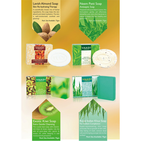 Vaadi Herbals Amla Shikakai Hair fall and Damage Control Shampoo with Corn Rose Conditioner - Nourishing Hair Care