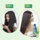 Parachute Advansed Aloe Vera Enriched Coconut Hair Oil - Nourishing & Softening Formula
