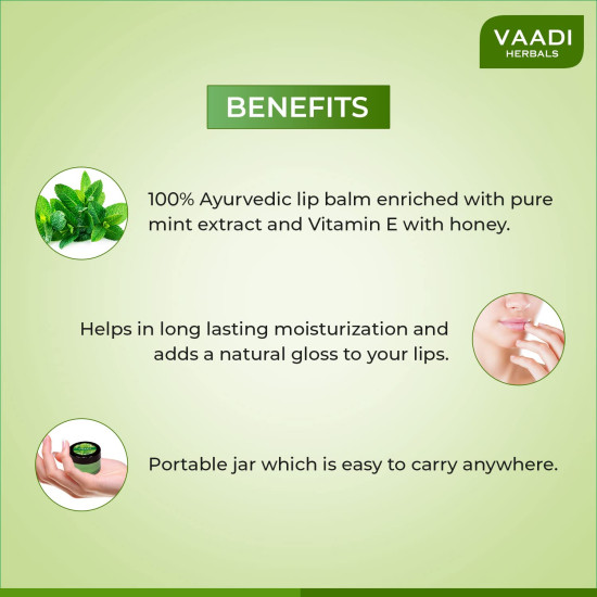 Vaadi Herbals Mint Lip Balm - Nourishing Lip Care