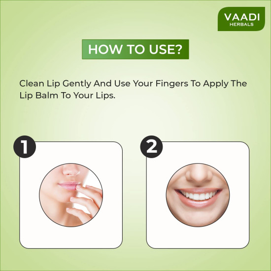 Vaadi Herbals Mint Lip Balm - Nourishing Lip Care