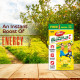 Dabur GlucoPlus-C Instant Energy Glucose Lemon Flavour - Boosts Immunity & Supports Bone Health