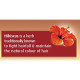 Dabur Vatika Enriched Coconut Hair Oil with Hibiscus - For Thicker, Stronger Hair