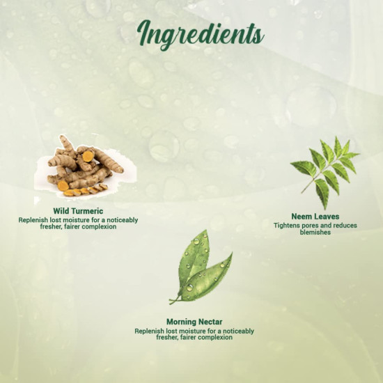Biotique Morning Nectar Moisturize & Nourish Face Wash - Visibly Flawless Skin