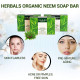 Vaadi Herbals Neem Patti Soap - Pure Neem Leaves for Natural Skin Care