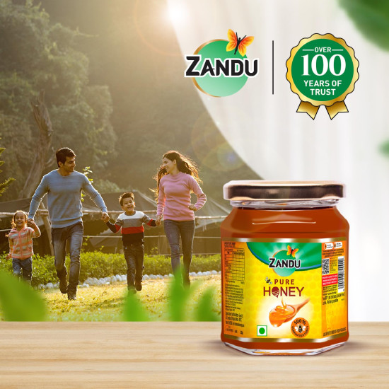 Zandu Pure Honey with Cinnamon, Green Tea & Lemon - 100% Purity Zandu Pure Honey with Cinnamon, Green Tea & Lemon - 100% Purity