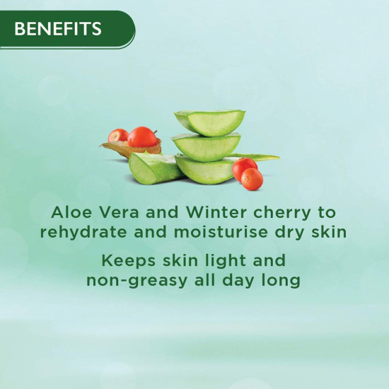Himalaya Nourishing Skin Cream, 200ml - All Day Moisturizing