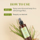 Kama Ayurveda Pure Vetiver Water - Natural Astringent for Skin