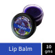 Vaadi Herbals Assorted Lip Balms, 10g (Pack of 8) - Nourishing Lip Care
